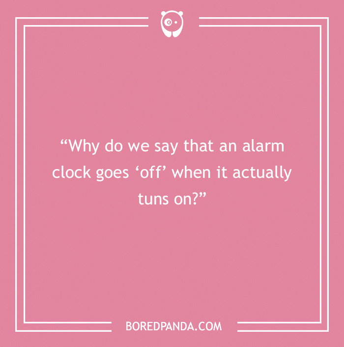 The Most Stupid Questions to Make You Laugh and Think