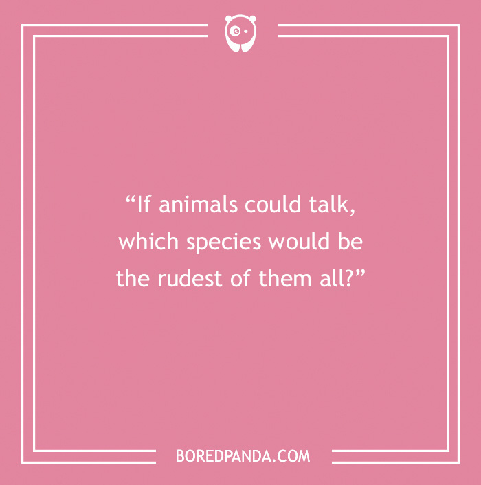 The Most Stupid Questions to Make You Laugh and Think