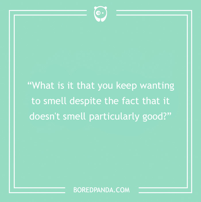 The Most Stupid Questions to Make You Laugh and Think