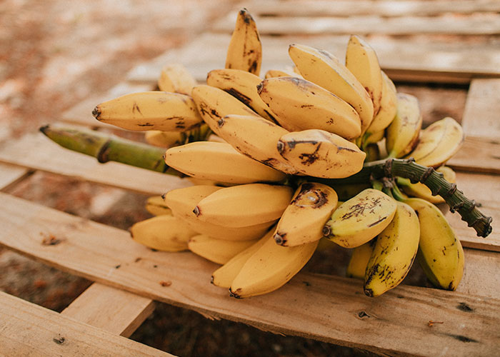 50 People Share Random Facts That They Were Shocked To Learn