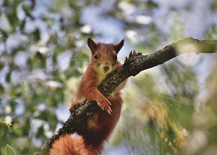 50 People Share Random Facts That They Were Shocked To Learn