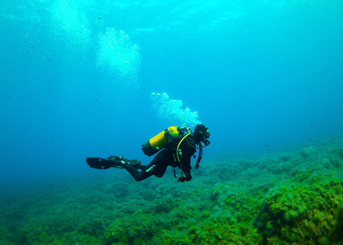 50 People Share Random Facts That They Were Shocked To Learn