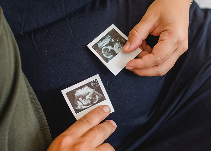 50 People Share Random Facts That They Were Shocked To Learn