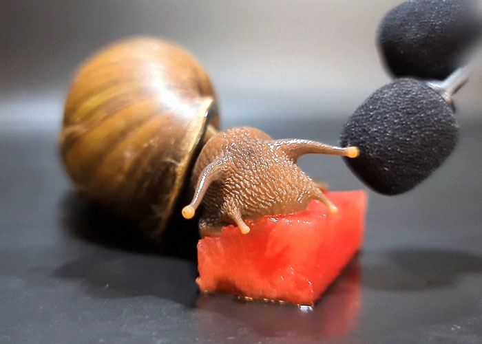 50 People Share Random Facts That They Were Shocked To Learn