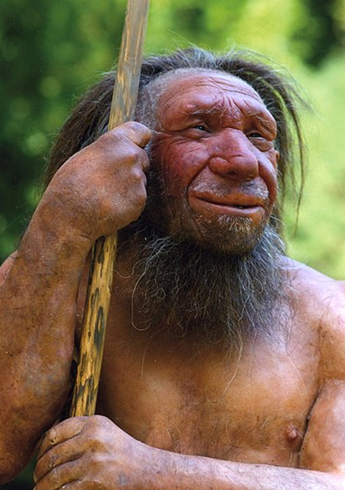 50 People Share Random Facts That They Were Shocked To Learn