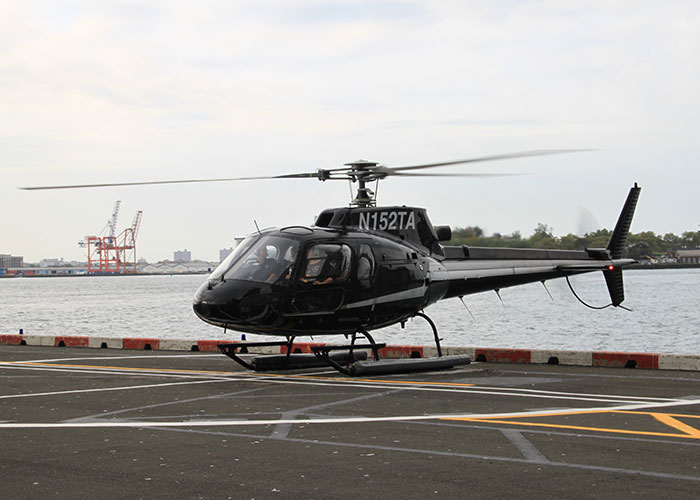 50 People Share Random Facts That They Were Shocked To Learn