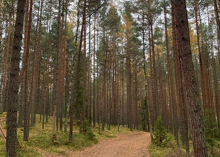 50 People Share Random Facts That They Were Shocked To Learn