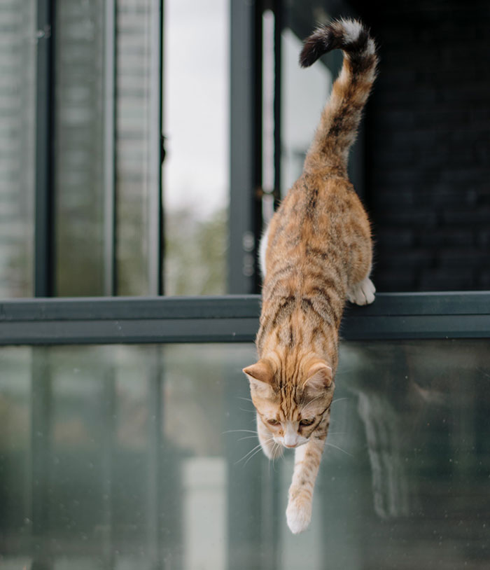 50 People Share Random Facts That They Were Shocked To Learn