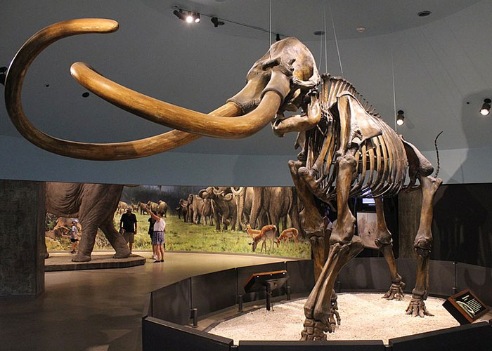 50 People Share Random Facts That They Were Shocked To Learn