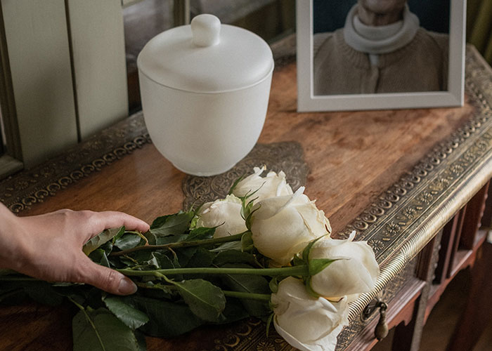 50 People Share Random Facts That They Were Shocked To Learn