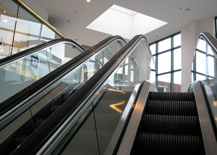 50 People Share Random Facts That They Were Shocked To Learn