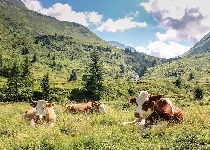 “What Should People Absolutely Not Do When Visiting Your Country?” (45 Answers)