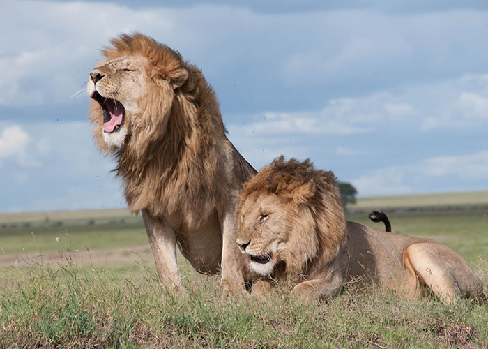 “What Should People Absolutely Not Do When Visiting Your Country?” (45 Answers)