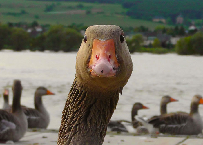 “What Should People Absolutely Not Do When Visiting Your Country?” (45 Answers)