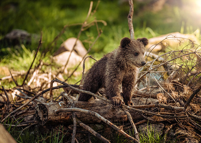 “What Should People Absolutely Not Do When Visiting Your Country?” (45 Answers)