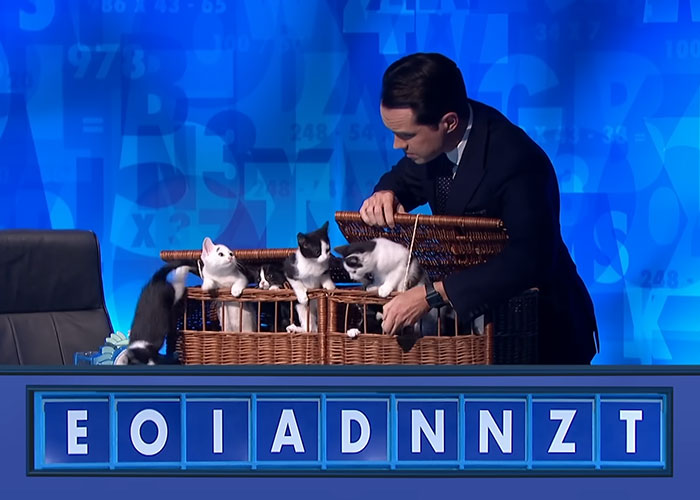 30 British People Share "Totally Normal" Things That Are "Nonexistent" In America