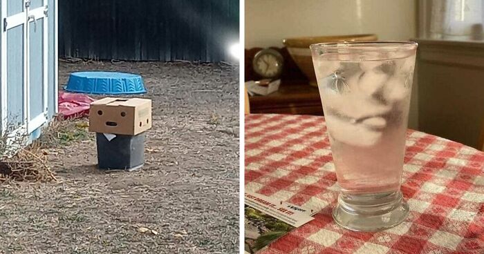 40 Funny Examples Of Regular Objects Suddenly Showing Human Characteristics