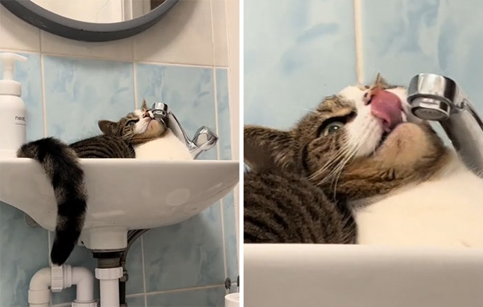 The Water Isn't Running 