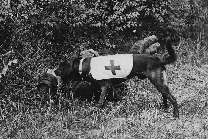 40 ‘Today I Learned’ Facts That Might Save You At The Next Trivia Night (New Pics)