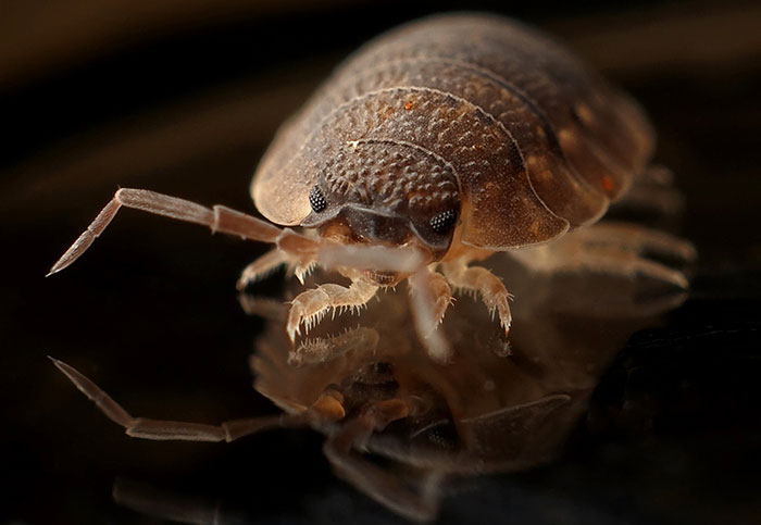 40 ‘Today I Learned’ Facts That Might Save You At The Next Trivia Night (New Pics)