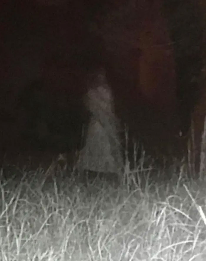 10.19.19 My Trail Camera Captured A Strange Image. The Previous Owner’s Ashes Were Spread On Our Property