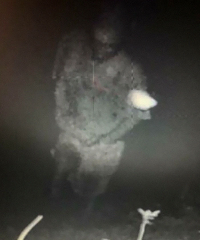 My Uncle Has A Trail Cam At My Old Grandparents House Which Are Both Dead And The House Is Abandoned. The Camera Takes 3 Pics Every Time A Motion Is Detected.this Thing Only Appears In 1 Out Of 3 Of The Photos. No Idea. Not Saying Is A Ghost Cause I Don’t Really Believe Them