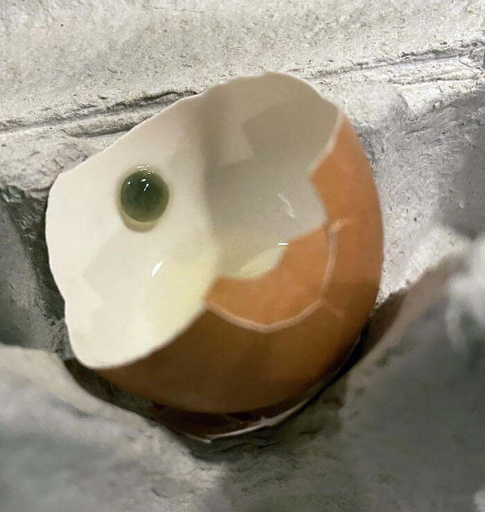 Found This When I Cracked An Egg. What Is This?