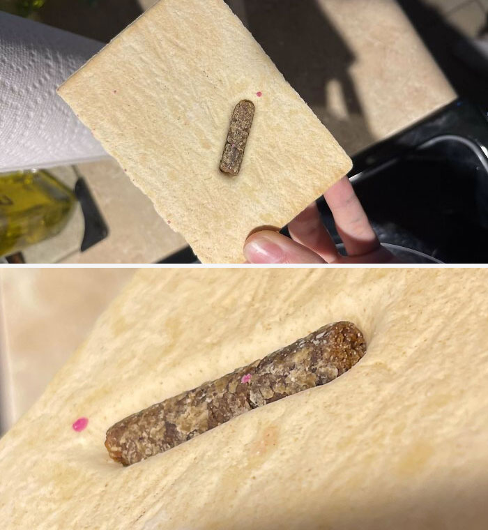 What Is This Thing In My Pop Tart?