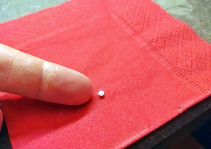 A Mini-Pearl I Found In An Oyster I Was Eating