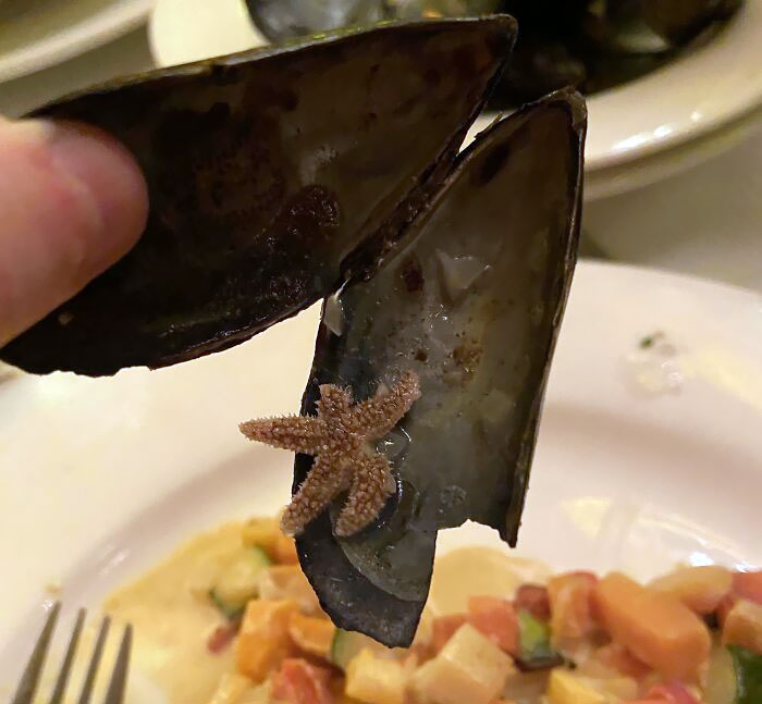 My Sister Got A Mini Starfish In Her Mussels