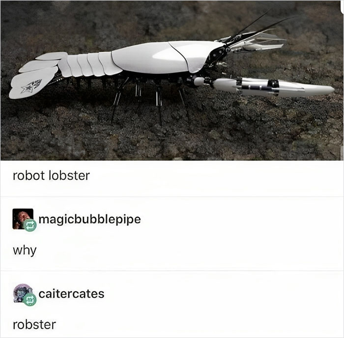 Robster