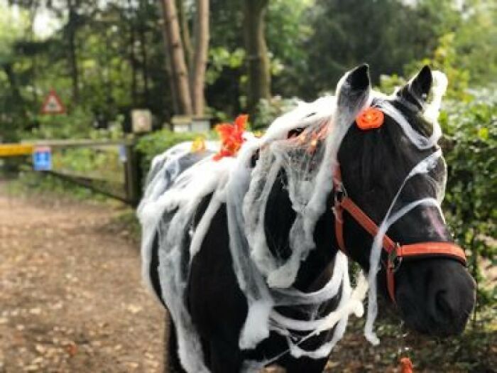 Of Course, As A Witch I Can't Live Without My Familiar