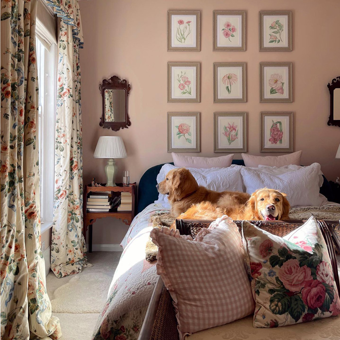 Pink bedroom with warm colors featuring golden retriever dogs lounging on a cozy bed with floral decor accents. Pink bedroom with warm colors featuring golden retriever dogs lounging on a cozy bed with floral decor accents.