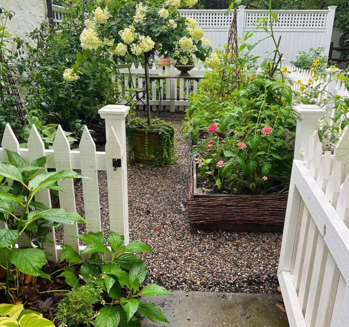 White picket fences surrounded by greenery White picket fences surrounded by greenery