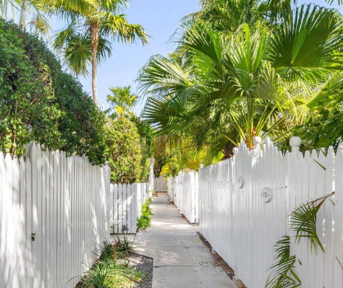 White picket fences in a row with palm trees White picket fences in a row with palm trees