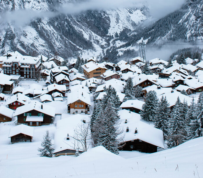 125 Winter Trivia Questions To Last You Through The Season