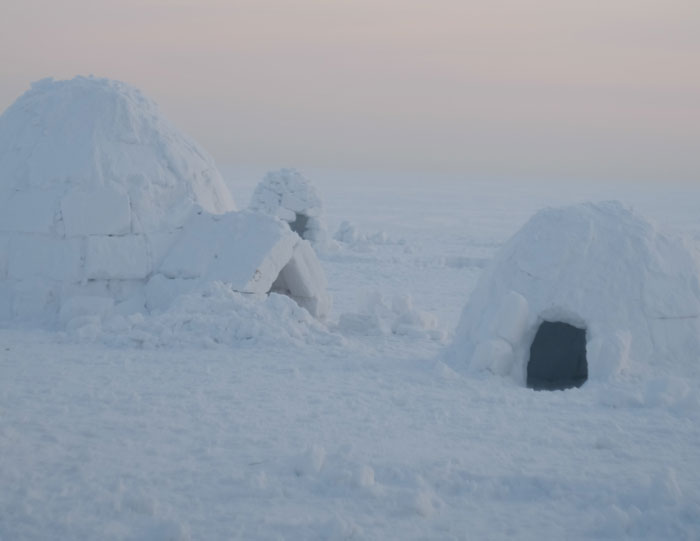 125 Winter Trivia Questions To Last You Through The Season