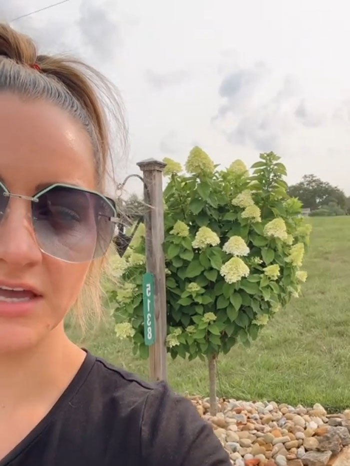 TikToker Who Fled Amish Community Shares Facts That &ldquo;Always Disturb People&rdquo;