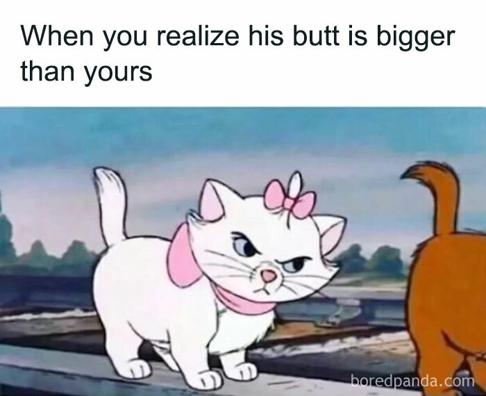 Women-Jokes-Memes-Myfemalebible