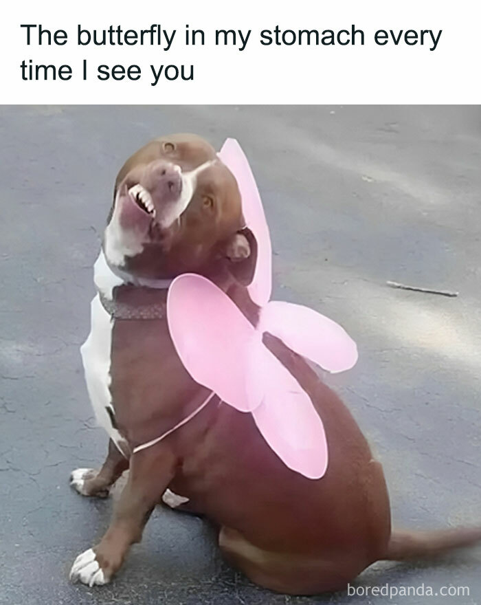 Women-Jokes-Memes-Myfemalebible