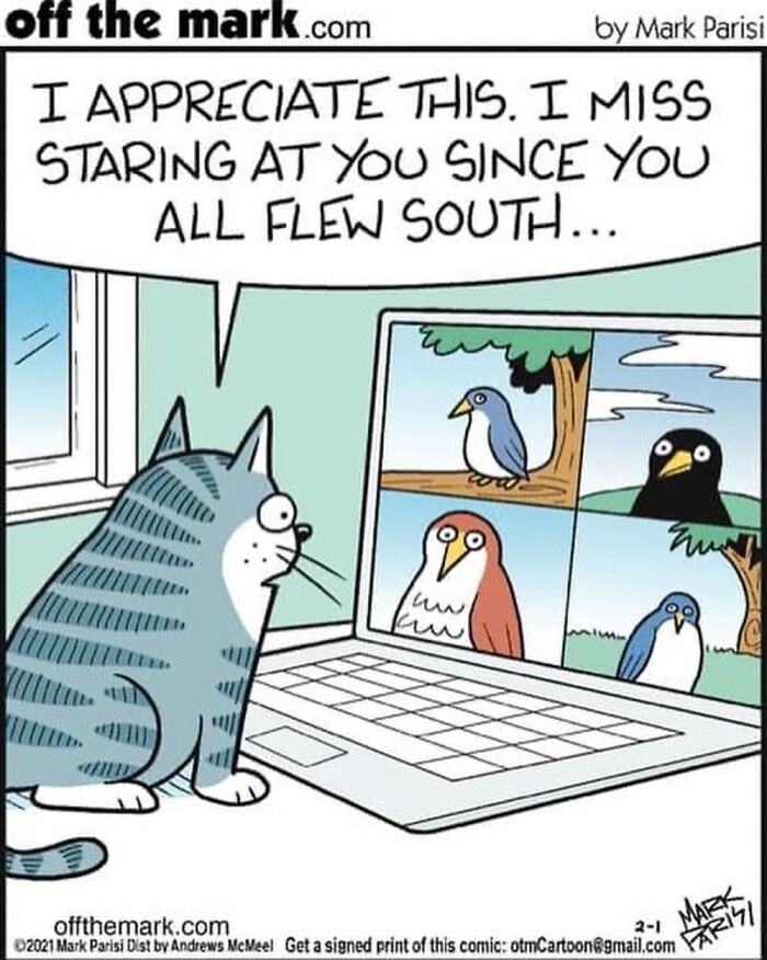 This Artist Used "Internet Searches" As The Theme For His Fun Single-Panel Comics (50 Pics)