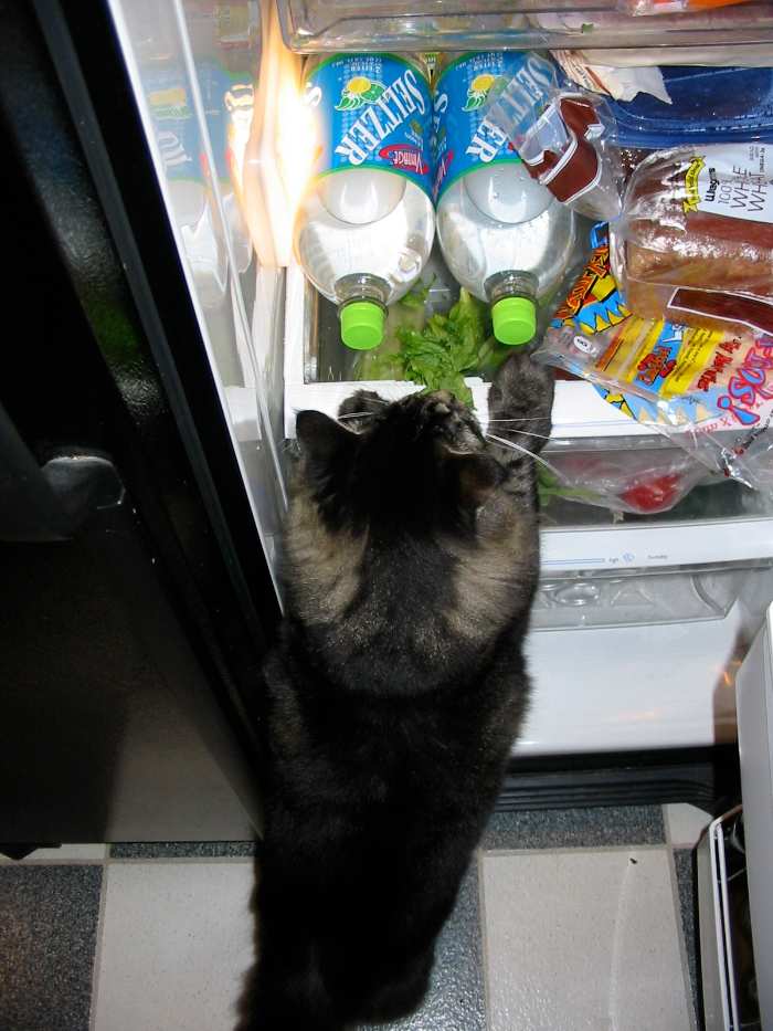 Person Asks “What Should Go In The Fridge That People Don’t Realize Should Go In The Fridge?”, Gets 30 Replies