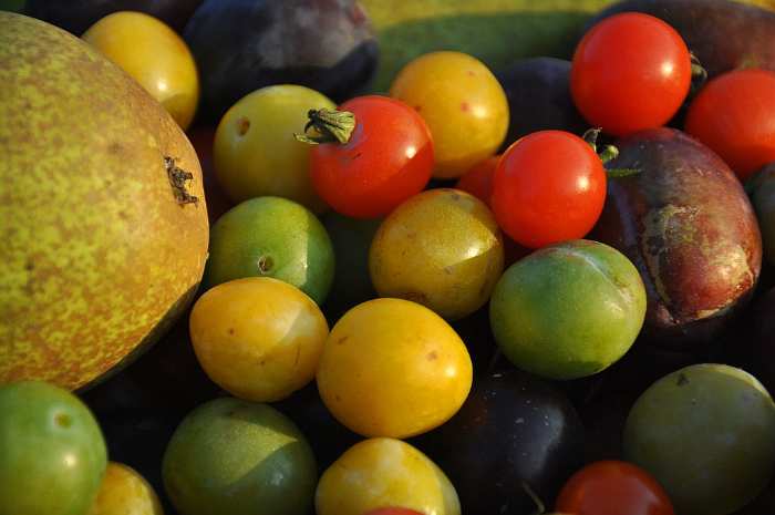 Person Asks “What Should Go In The Fridge That People Don’t Realize Should Go In The Fridge?”, Gets 30 Replies