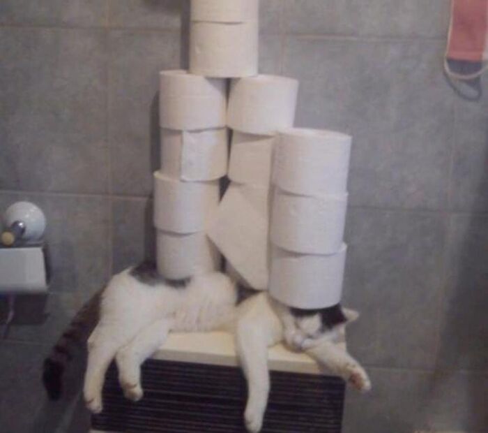 Random-Things-Weird-Places