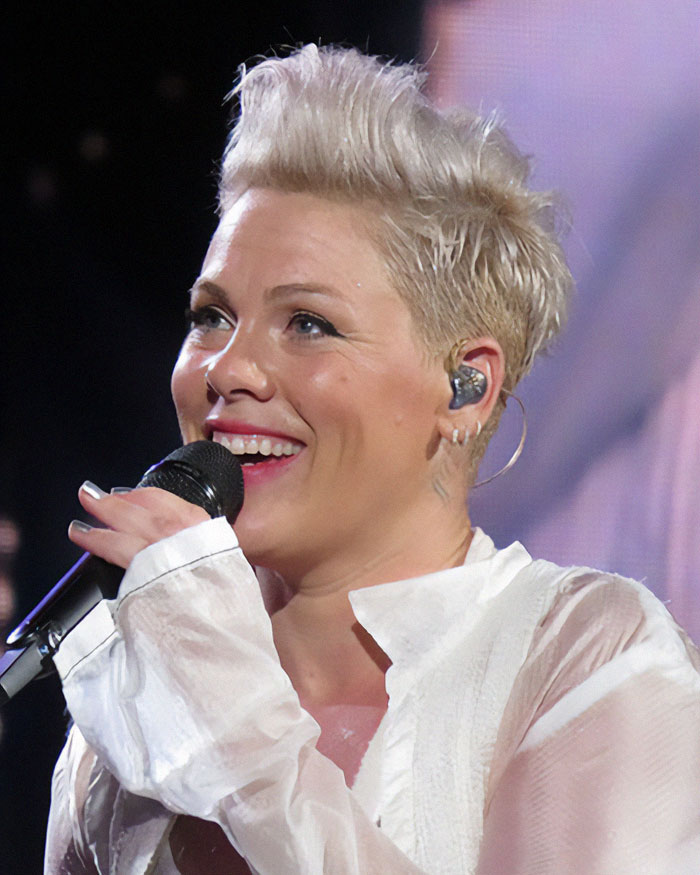 &ldquo;I Am Unwilling To Stand By&rdquo;: Pink Will Give Away Thousands Of Banned Books At Florida Concerts