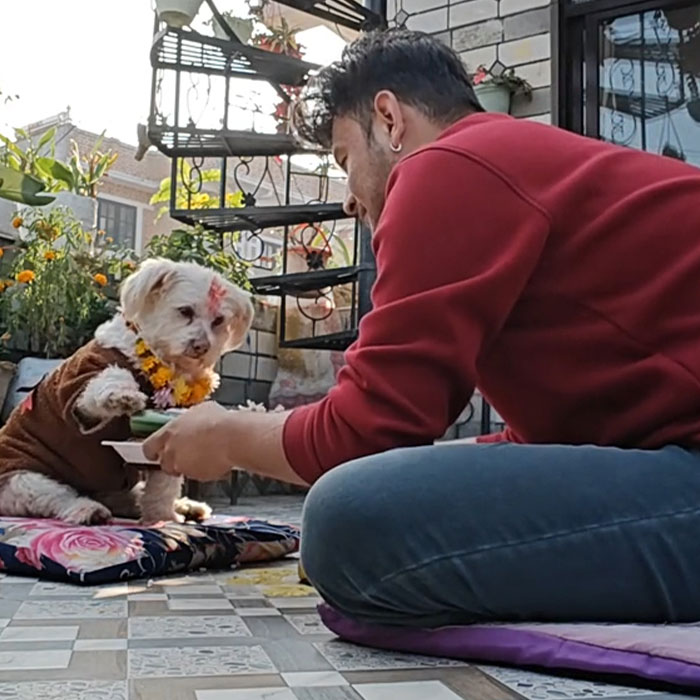 In This Annual Nepalese Festival, Dogs Get Pampered For Being God&rsquo;s Messengers