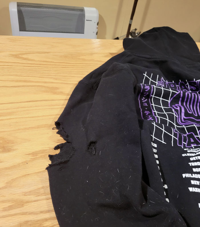 My Dog Decided To Destroy My "Trash Taste" Tour Hoodie
