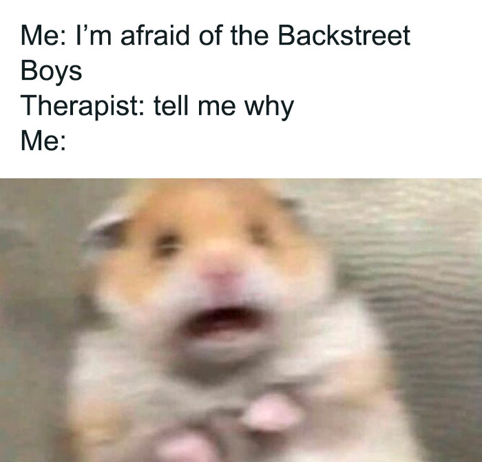 Blurry hamster meme reacting to Backstreet Boys joke; relatable meme humor.