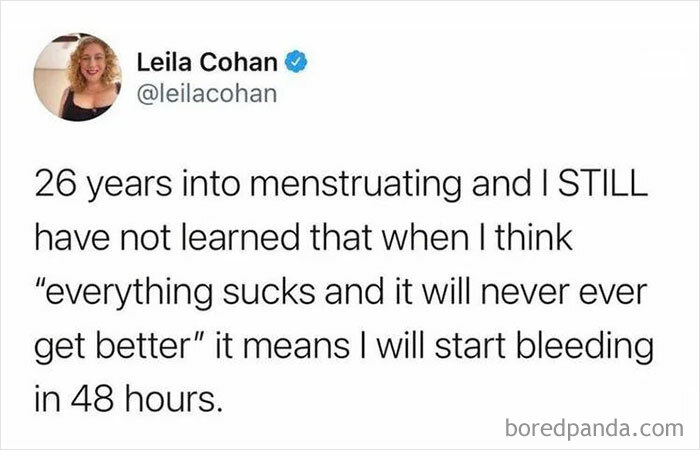 Memes-Laughing-Chicks