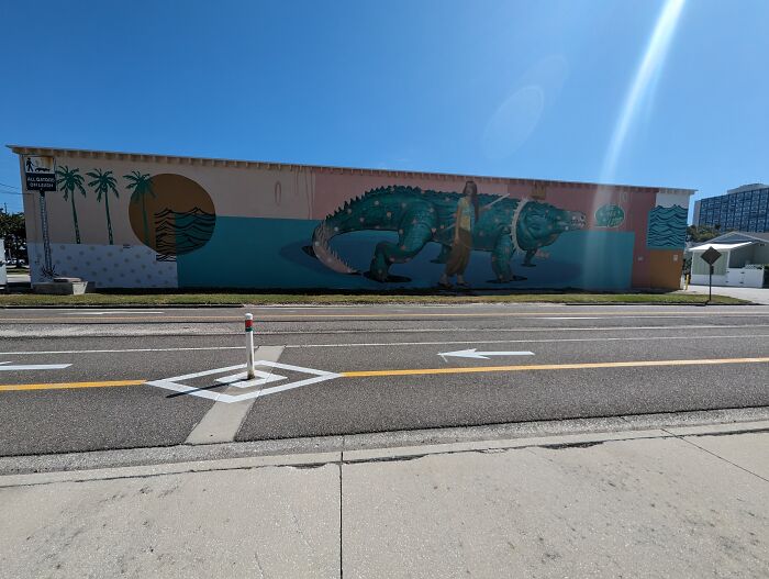 Florida Girl Walking A Gator